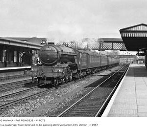 RGW0231