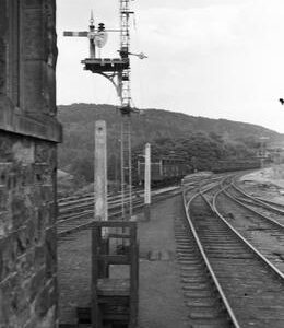 RGW0234VF