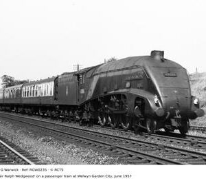 RGW0235