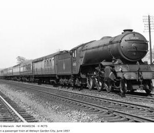 RGW0236