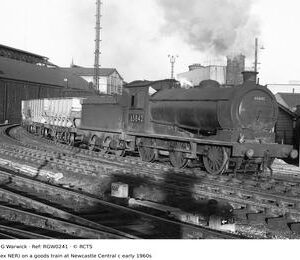 RGW0241