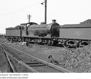 RGW0245