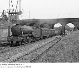 RGW0248