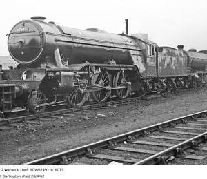 RGW0249