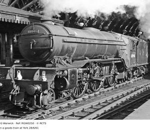 RGW0250