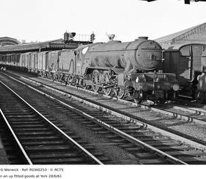 RGW0253