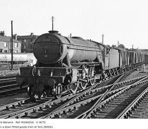 RGW0256