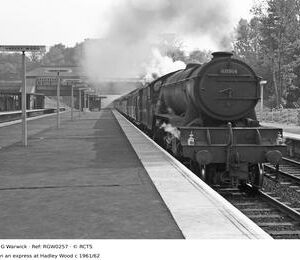 RGW0257