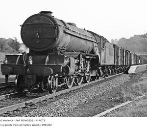 RGW0258