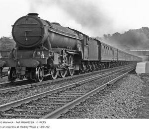 RGW0259