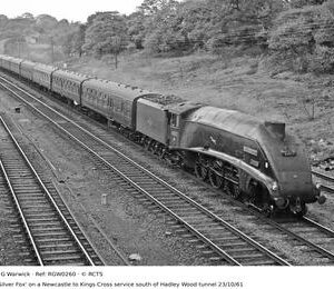 RGW0260