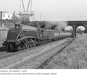 RGW0261