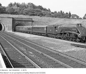 RGW0262
