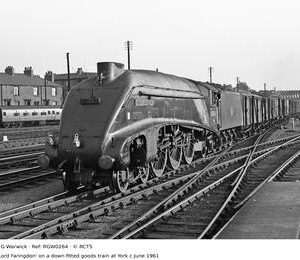RGW0264
