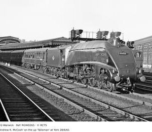 RGW0265