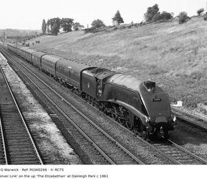 RGW0266