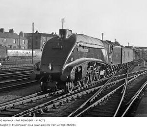 RGW0267