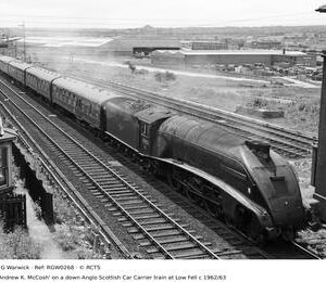 RGW0268