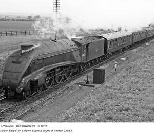 RGW0269