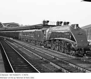RGW0271