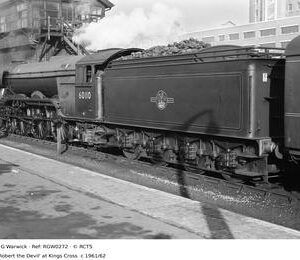 RGW0272
