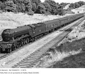 RGW0273