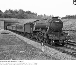 RGW0274