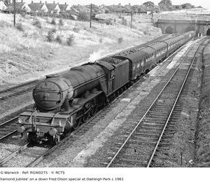 RGW0275