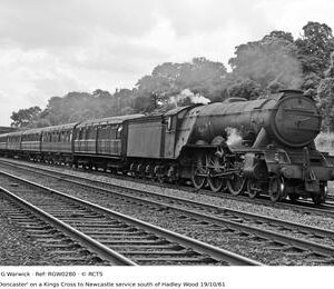 RGW0280