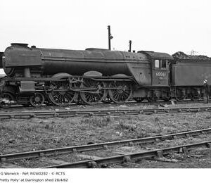 RGW0282
