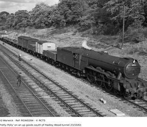 RGW0284