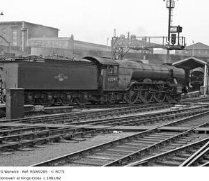 RGW0285