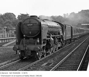 RGW0286