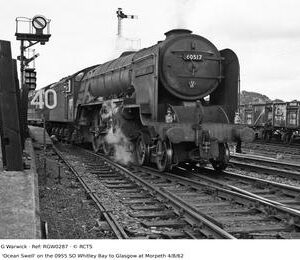 RGW0287