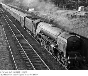 RGW0288