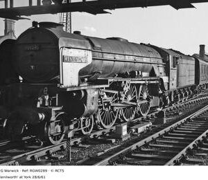 RGW0289