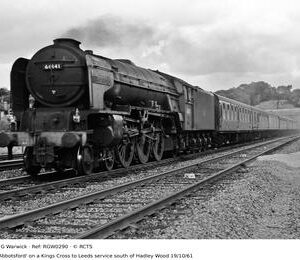 RGW0290