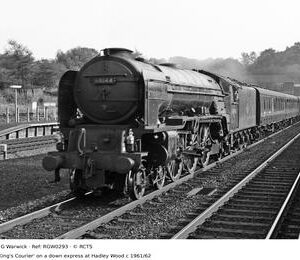RGW0293