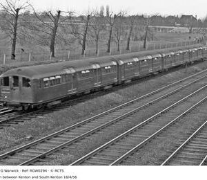 RGW0294