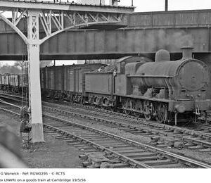 RGW0295