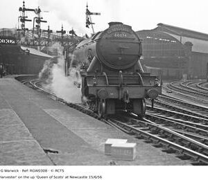 RGW0308