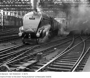 RGW0310