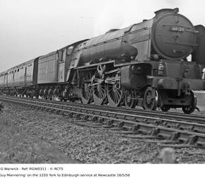 RGW0311