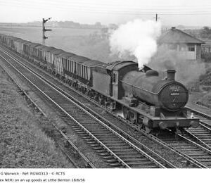 RGW0313