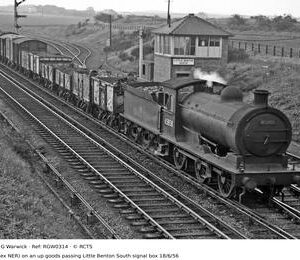RGW0314