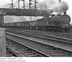 RGW0315