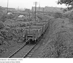 RGW0316