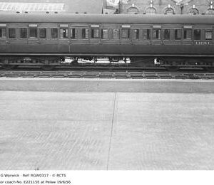 RGW0317