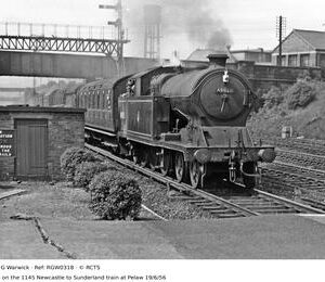 RGW0318
