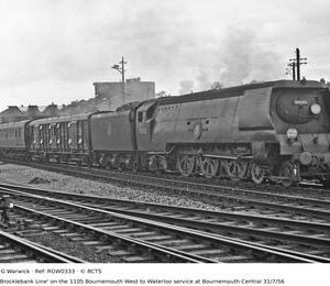 RGW0333